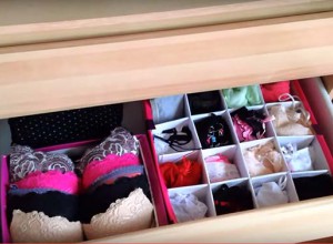 Wie man einen Unterwäsche-Organiser basteln kann (Videoanleitung)